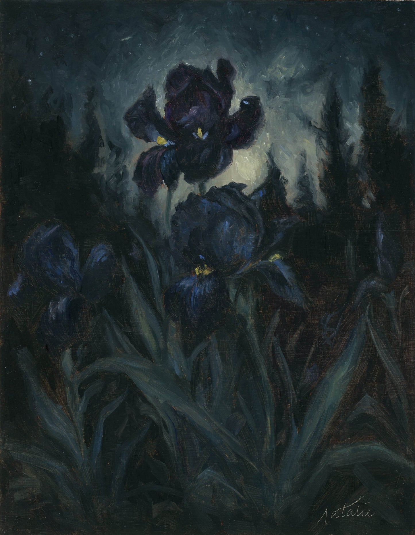 Everything the moonlight touches - Natalie Koeken Fine Art