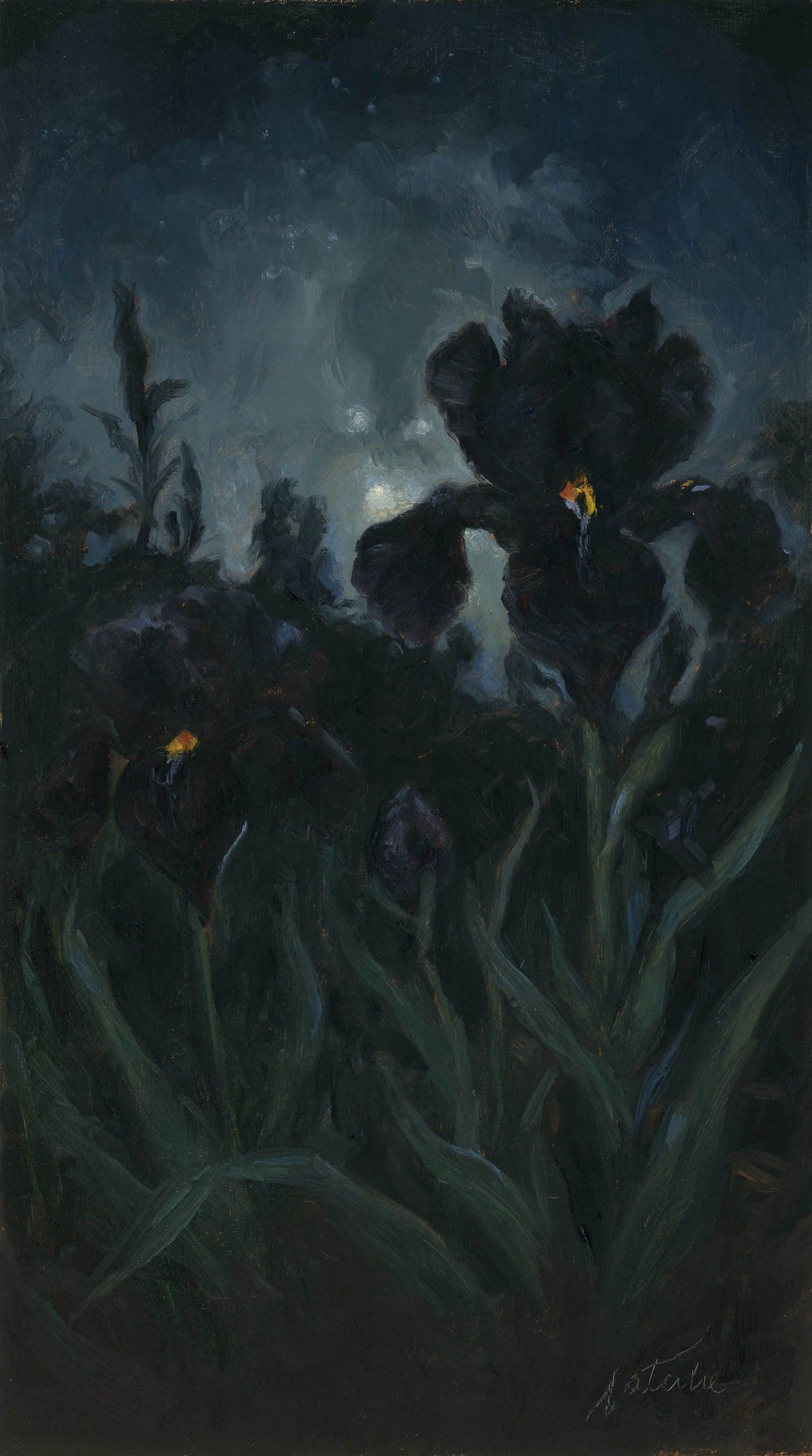 In the dark of night - Natalie Koeken Fine Art