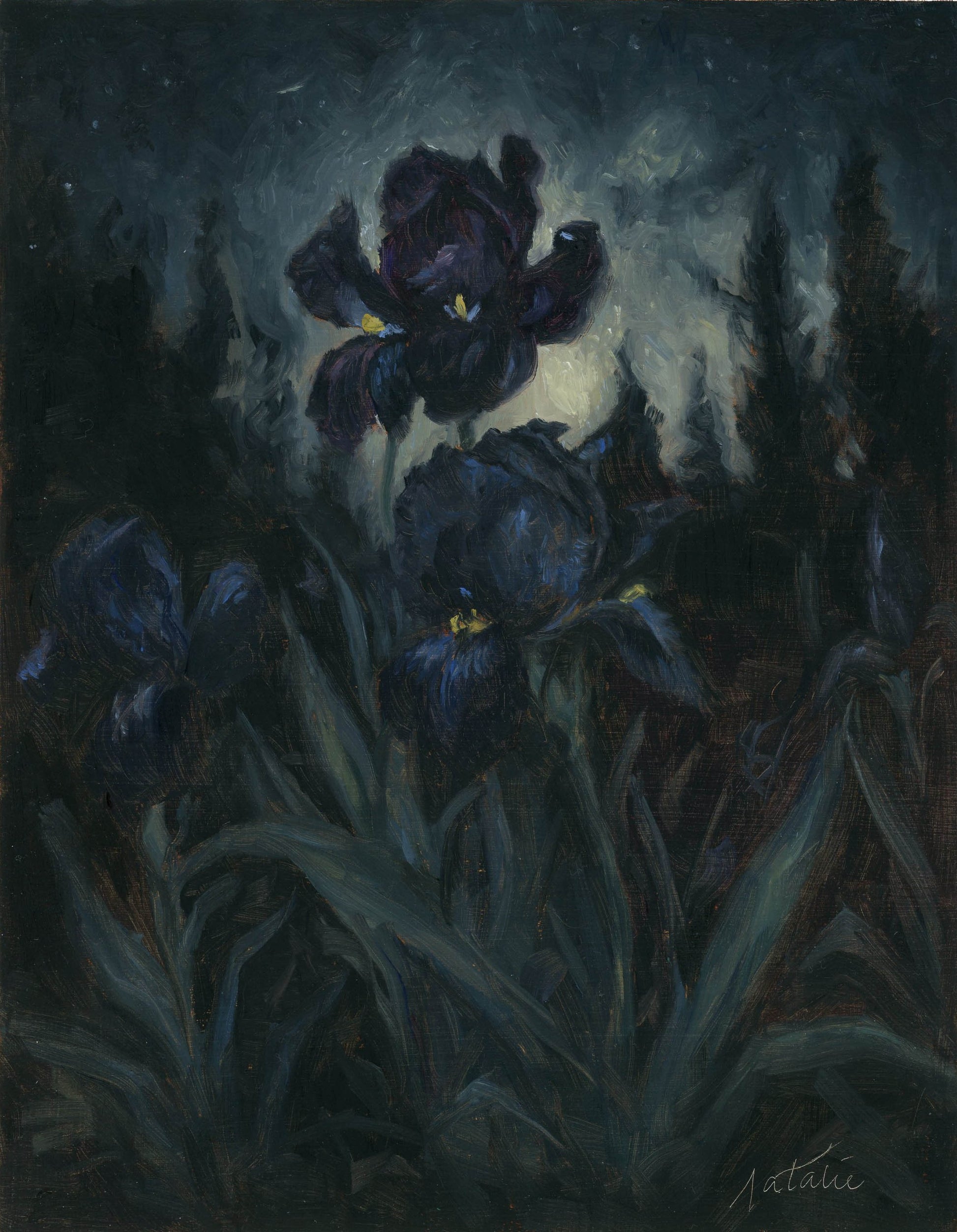 Everything the moonlight touches - Natalie Koeken Fine Art