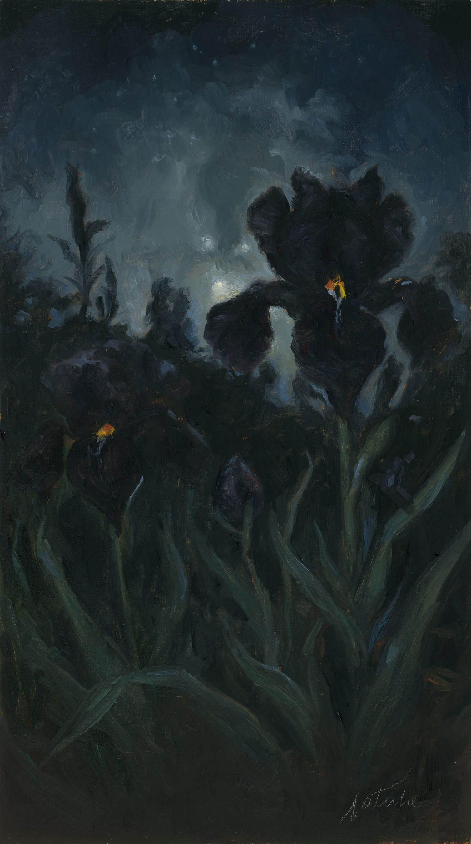 In the dark of night - Natalie Koeken Fine Art