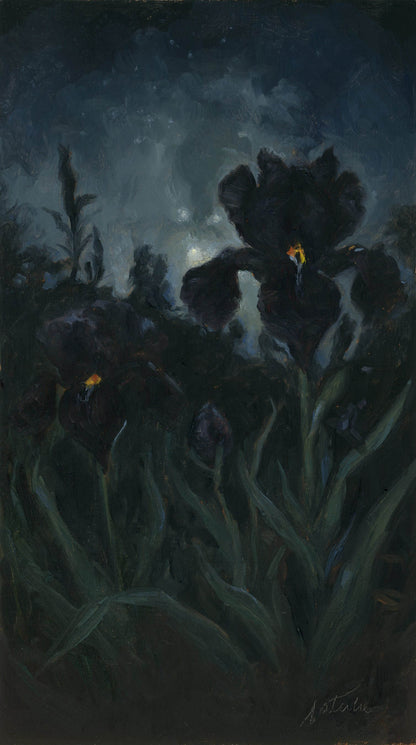 In the dark of night - Natalie Koeken Fine Art
